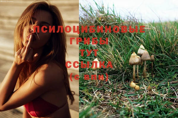 бошки Алексеевка