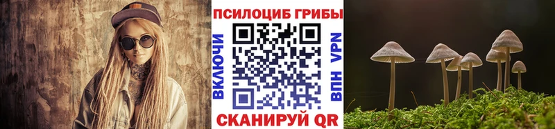 купить наркотики цена  Старая Русса  Галлюциногенные грибы Psilocybe 