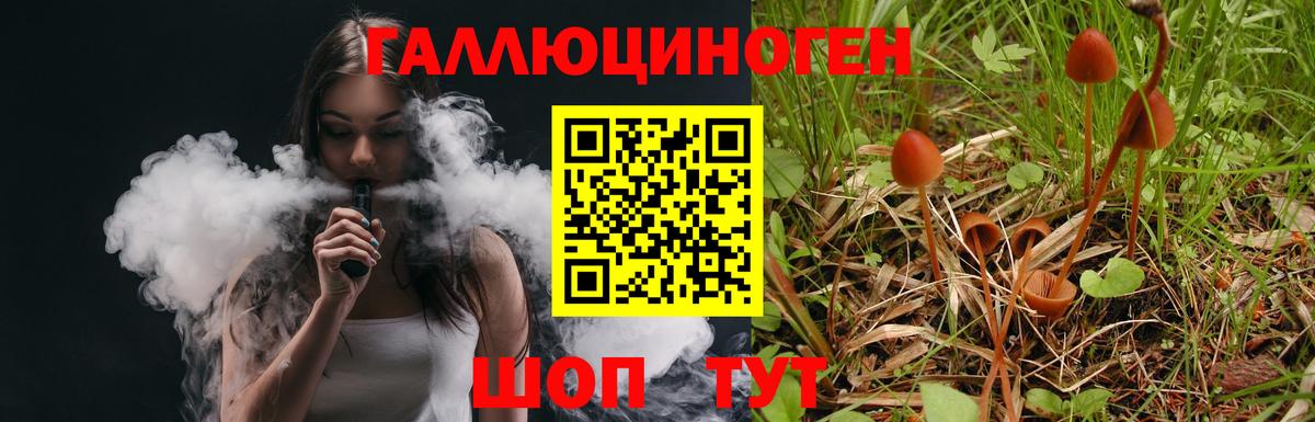 Псилоцибиновые грибы Psilocybine cubensis Старая Русса